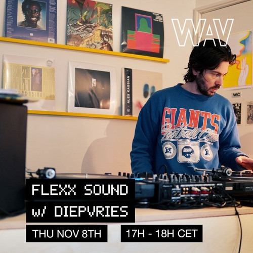 Diepvries presents Flexx Sound at We Are Various cover art